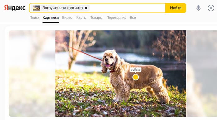 Загрузка фото в Яндекс