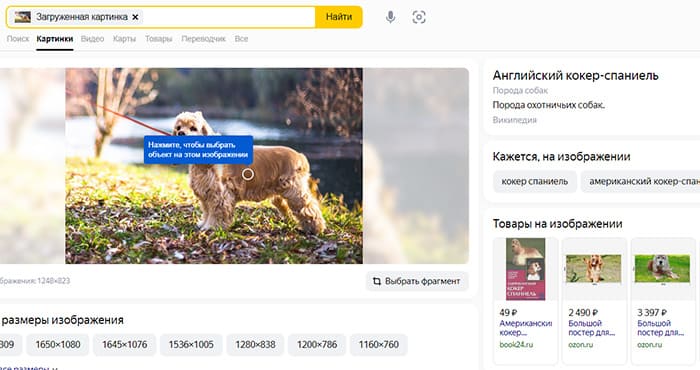 Результаты поиска по картинке в Яндекс