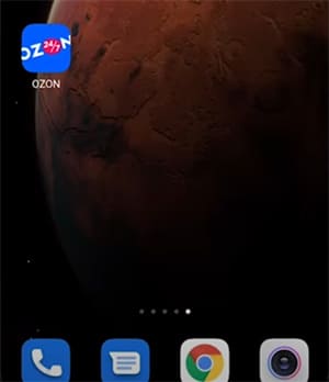Иконка приложения Ozon 