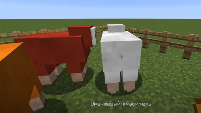 Цветная овца в Minecraft